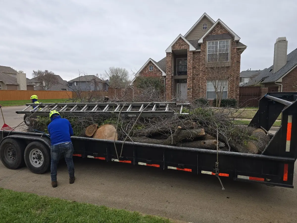 Expert Tree Fertilization with proper safety equipment in Falls City